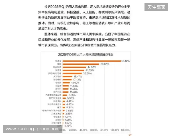 2025年12月虚拟局域网游戏联机方案综合评估报告 2025年12月虚拟局域网游戏联机方案综合评估报告